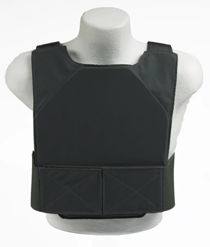 Beez Combat Systems Plate Carrier